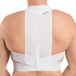 La ceinture dorsal lead